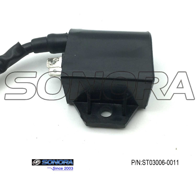 Suzuki AN125 Scooter Ignition Coil(P/N:ST03006-0011) top quality