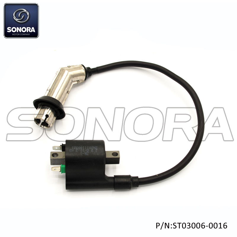 EURO 4 Ignition Coil (P/N:ST03006-0016) Top Quality