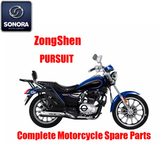 Zongshen Pursuit Complete Engine Body Kit Spare Parts Original Spare Parts