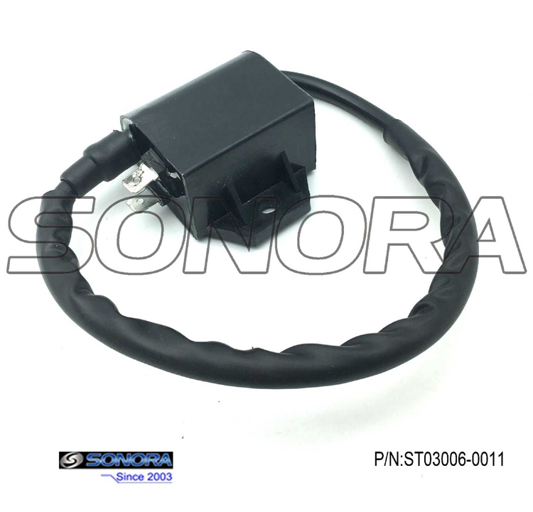 Suzuki AN125 Scooter Ignition Coil(P/N:ST03006-0011) top quality