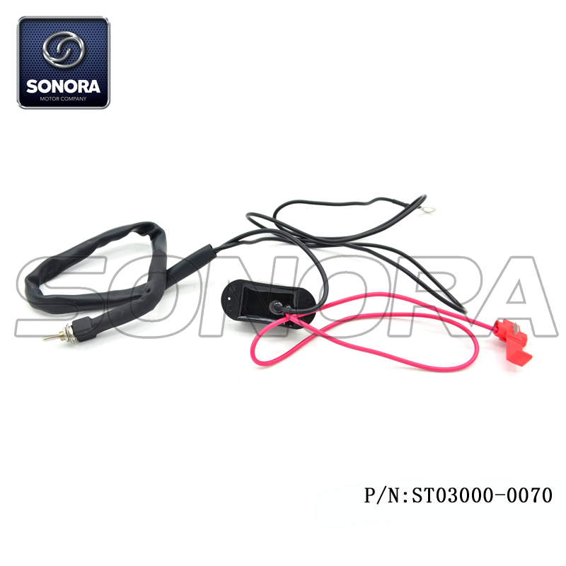 Scooter Speed Limiter (P/N: ST03000-0070) Top Quality