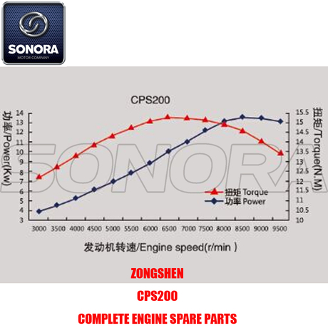 Zongshen CPS200 Complete Engine Spare Parts Original Parts