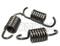 Yamaha Aerox Clutch Spring Standard