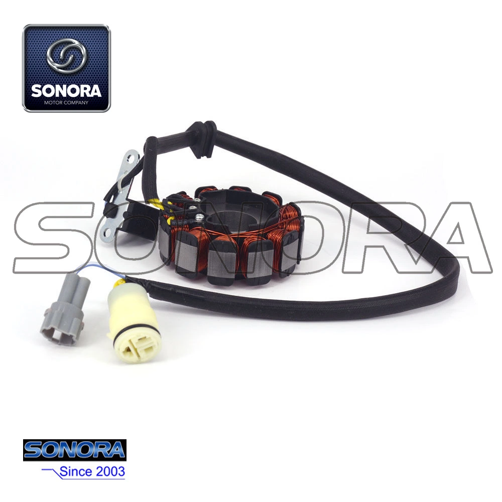 Stator Coil Zongshen NC250 Engine Mageto Kayo BSE Xmotos Apollo