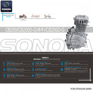 ZONGSHEN 169FMM(CB250) Engine (P/N: ST04100-0009) Top Quality