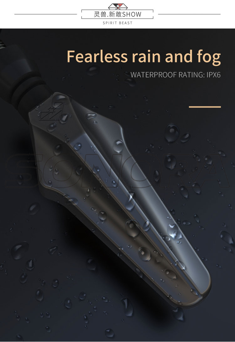 spirit beast lamp L21 (6)