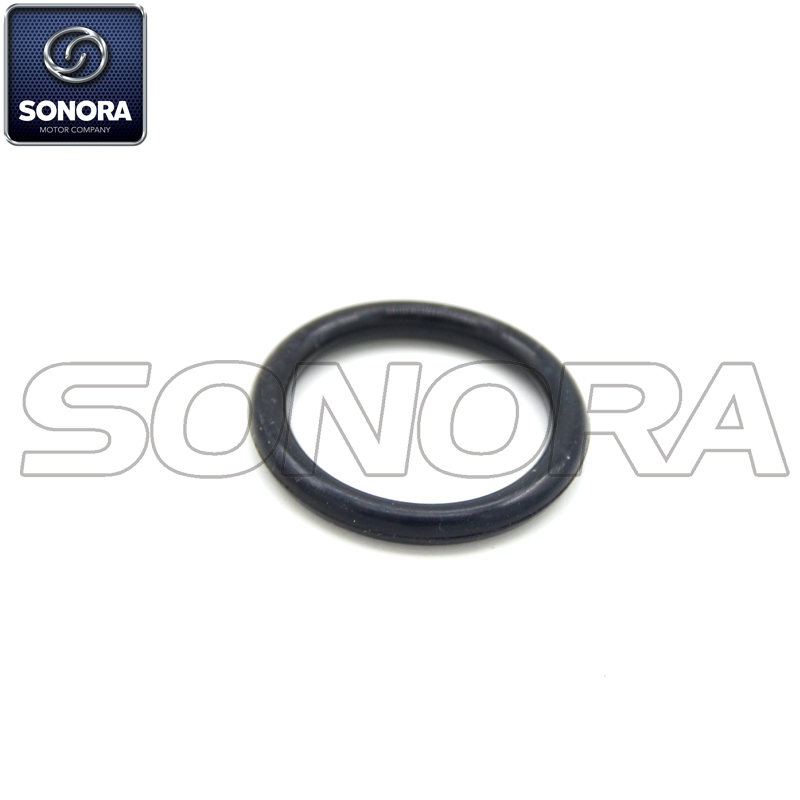 100107713 o-ring 22.5x3 (3)