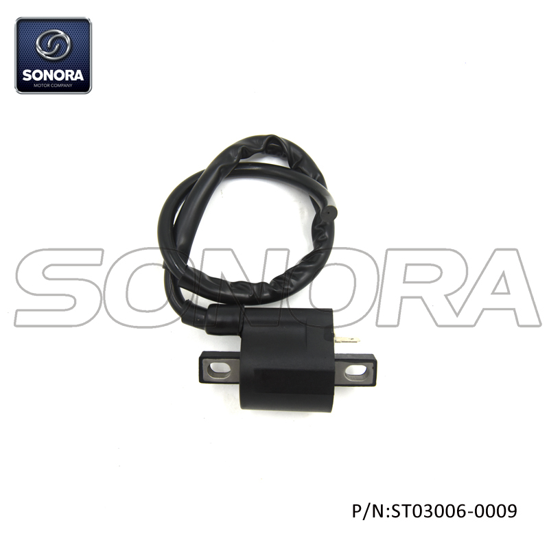 AM6 engine Ignition Coil(P/N:ST03006-0009) top quality