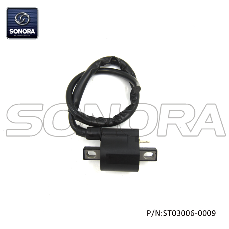 AM6 engine Ignition Coil(P/N:ST03006-0009) top quality