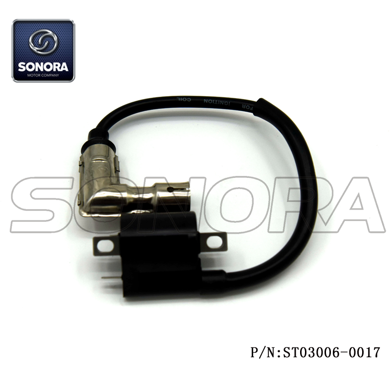 Wangye 2-stroke WY50QT-16A Ignition Coil (P/N:ST03006-0017) Top Quality