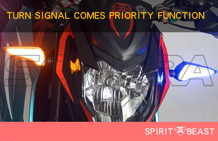 SPIRIT BEAST turn signal L12 (7)