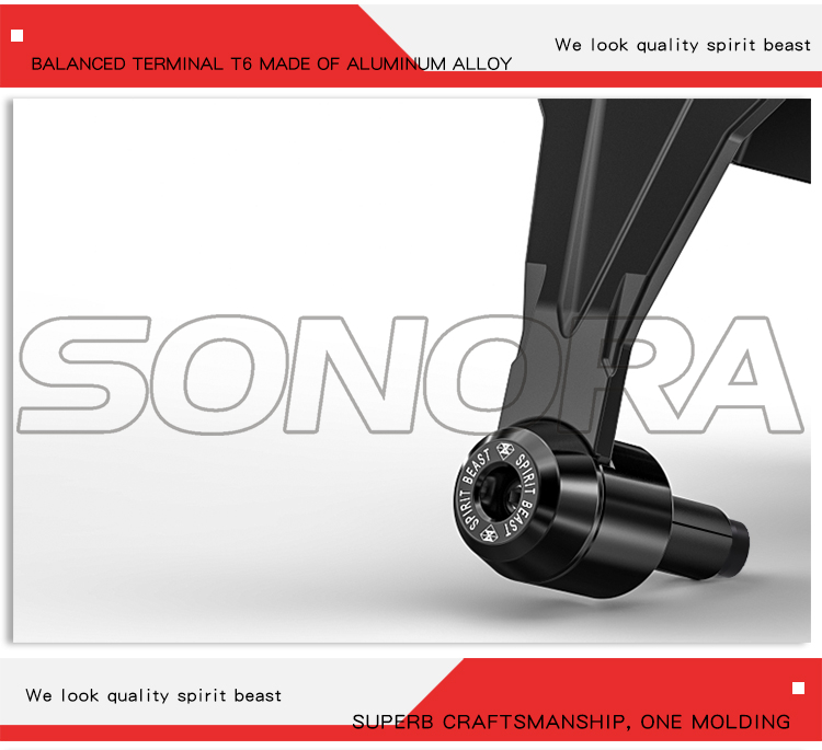 SPIRIT BEAST LED with light guard L1 (11)