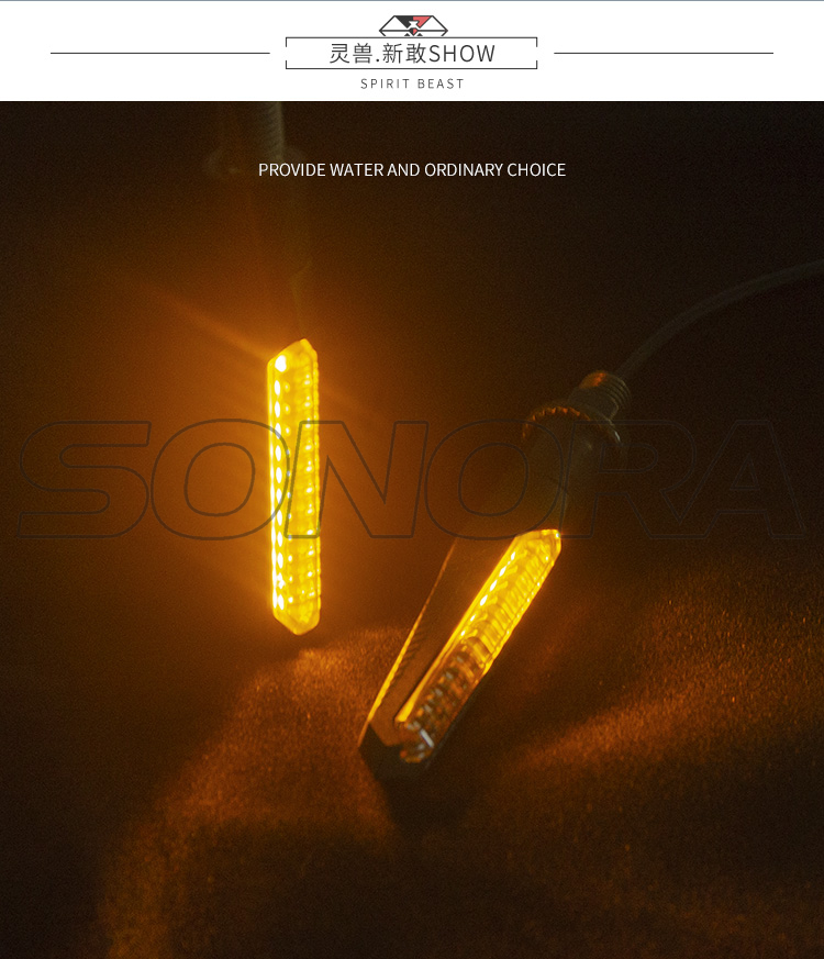 SPIRIT BEAST L19 (8)