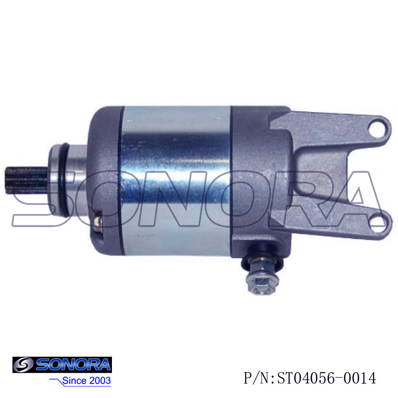 Piaggio Adiva Starter Motor Repair