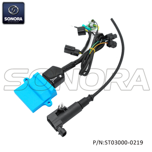 Tuning ECU for Vespa GTS125 piaggio medley 125-150 ECU E4 E5 Racing(P/N:ST03000-0219) Top Quality