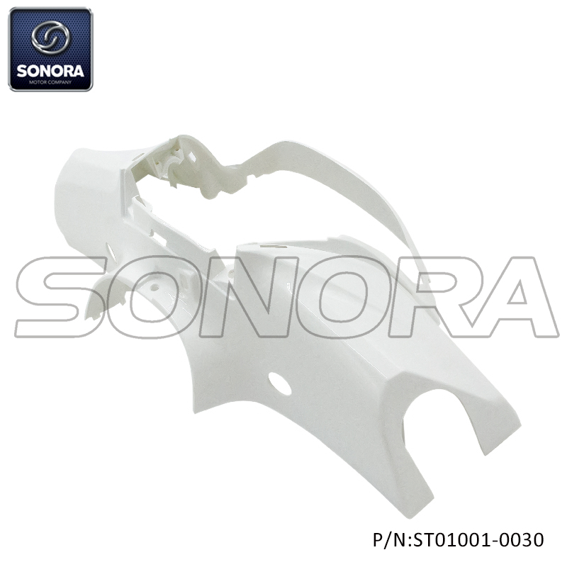 ST01001-0030(2)