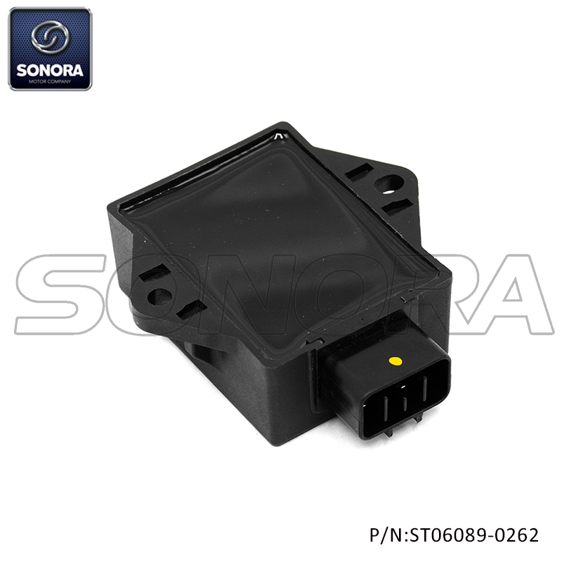 MASH 125 ECU (OEM: 1180300020000)（P/N:ST06089-0262） Top Quality