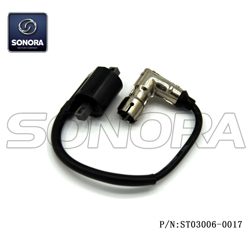Wangye 2-stroke WY50QT-16A Ignition Coil (P/N:ST03006-0017) Top Quality