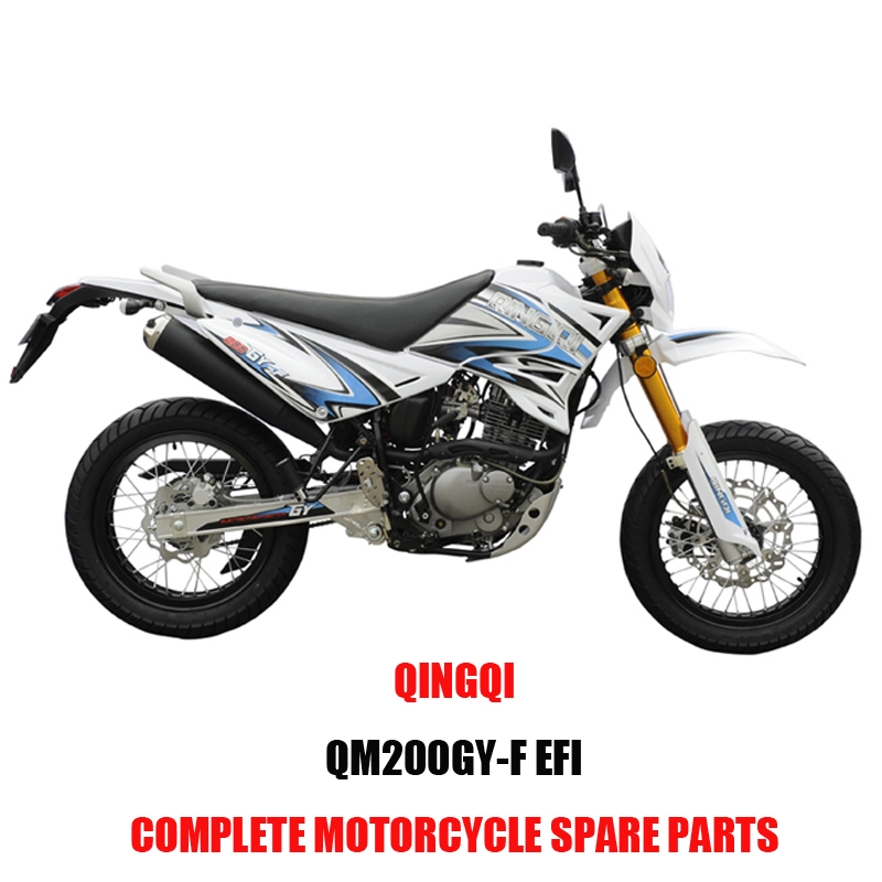 QINGQI QM200GY-F EFI Engine Parts Motorcycle Body Kits Spare Parts