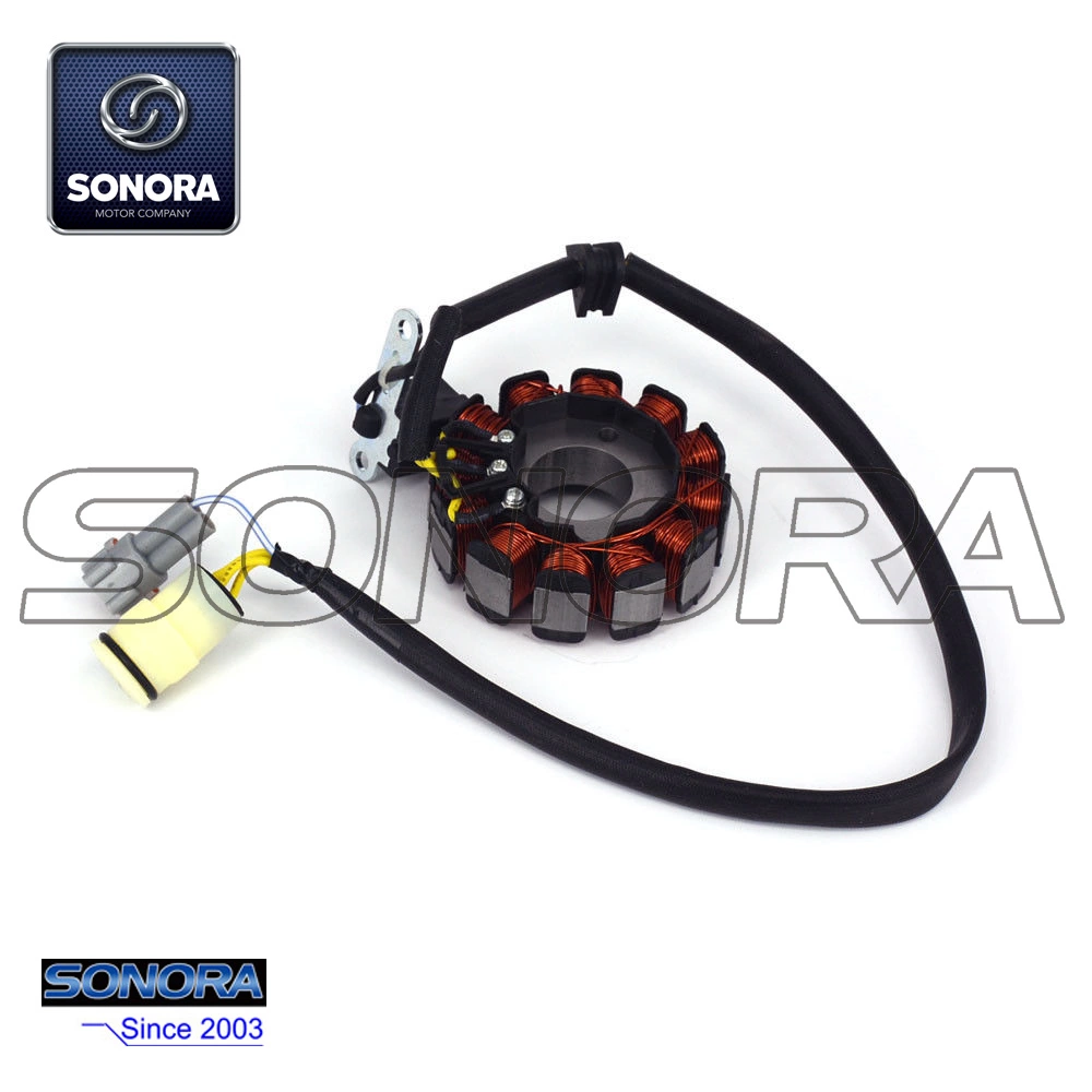 Stator Coil Zongshen NC250 Engine Mageto Kayo BSE Xmotos Apollo