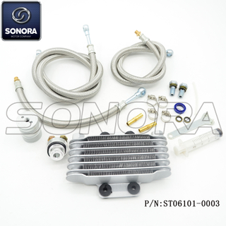GY6-50 Radiator Set (P/N:ST06101-0003) Top Quality