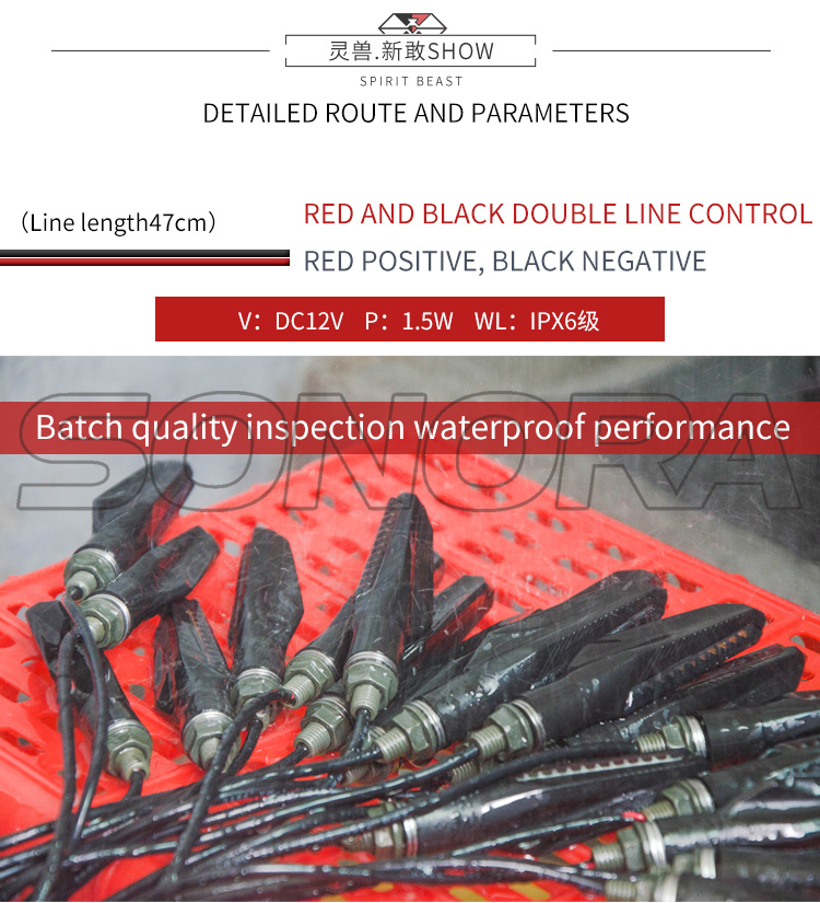 SPIRIT BEAST L19 (5)