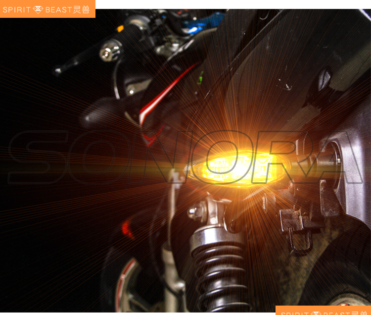 SPIRIT BEAST LED turn light L3 (8)