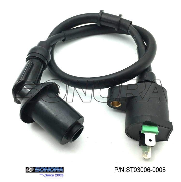 QM125T-10H Coil Ignition