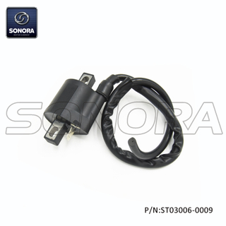 AM6 engine Ignition Coil(P/N:ST03006-0009) top quality