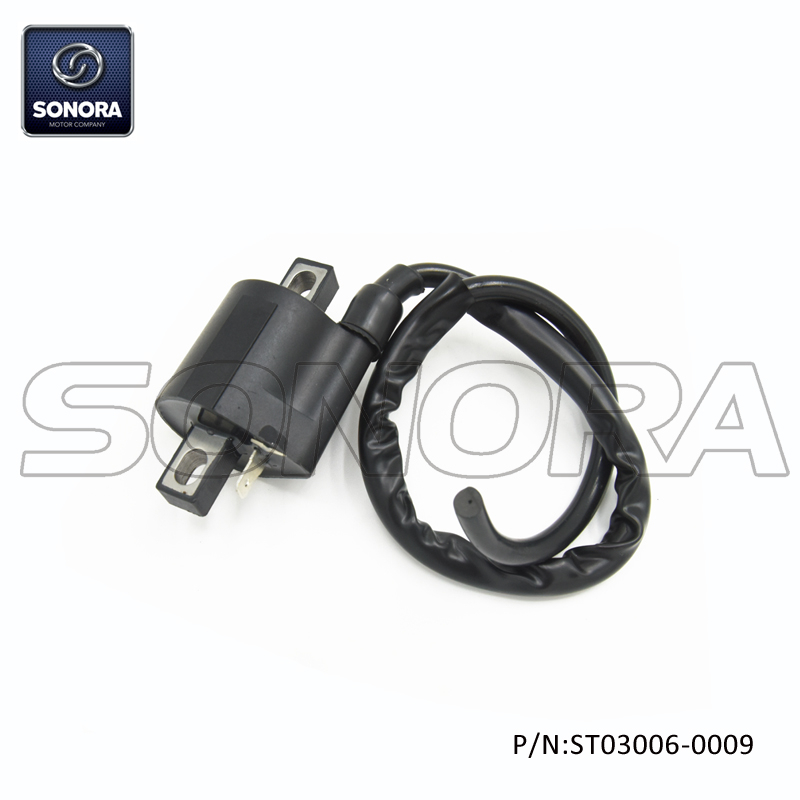 AM6 engine Ignition Coil(P/N:ST03006-0009) top quality