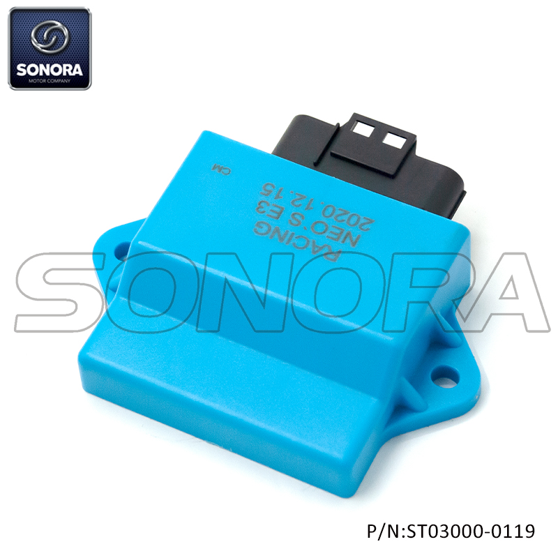 ST03000-0119(2)