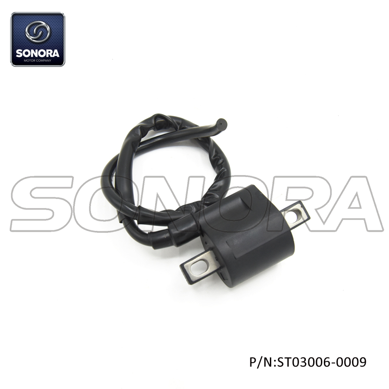 AM6 engine Ignition Coil(P/N:ST03006-0009) top quality