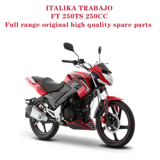 ITALIKA TRABAJO FT 250TS 250CC Complete Spare Parts Original Quality