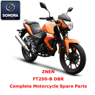ZNEN FT250-B DBR Complete Motorcycle Spare Part