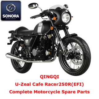 Qingqi Cafe Racer250R Complete Motorcycle Spare Part
