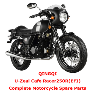 QINGQI Cafe Racer250R EFI Complete Motorcycle Spare Parts