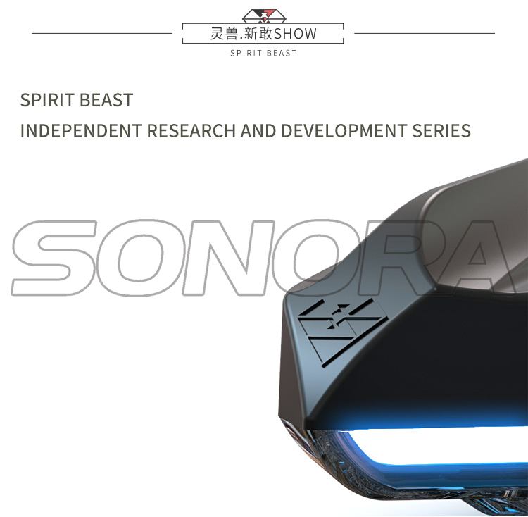 SPIRIT BEAST Car Lamp L16 (9)
