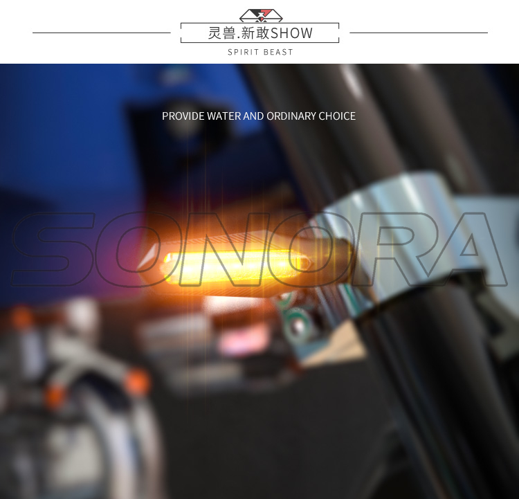 SPIRIT BEAST L19 (4)