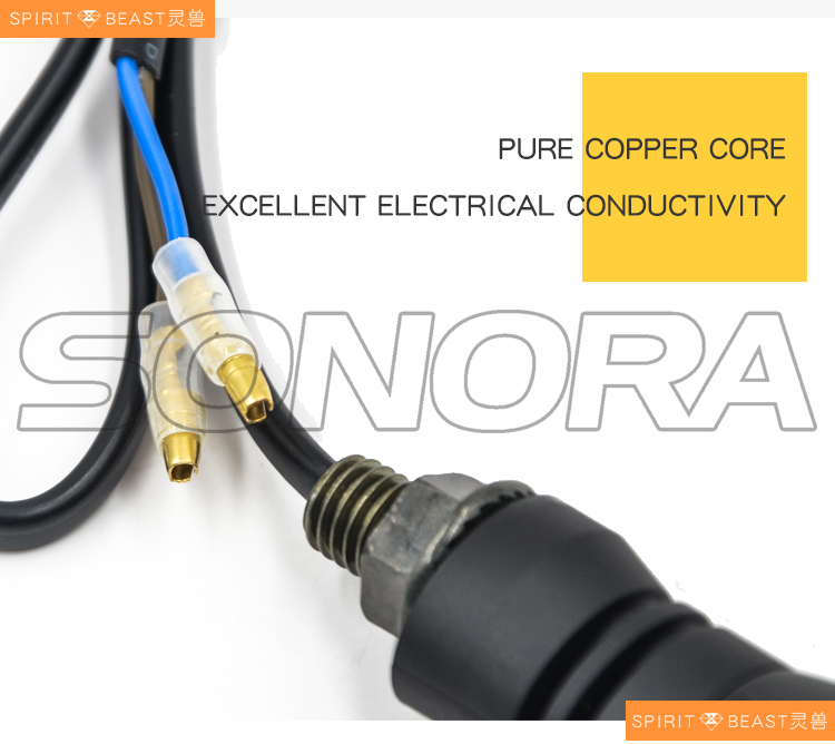 SPIRIT BEAST LED turn light L3 (6)