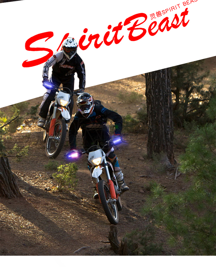 SPIRIT BEAST LED with light guard L1 (3)