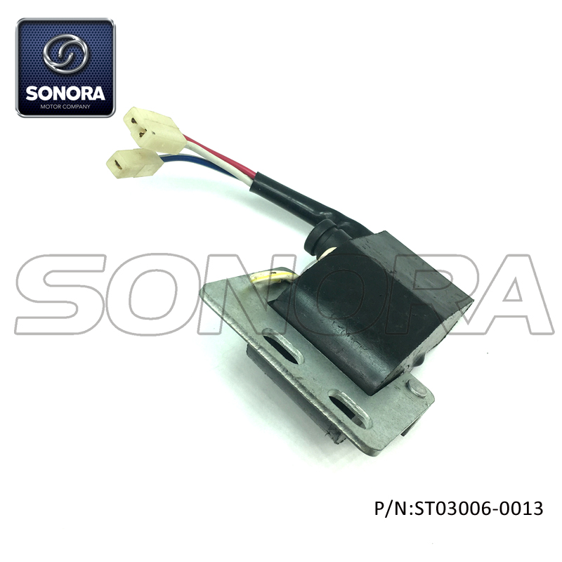 ST03006-0013 (1)