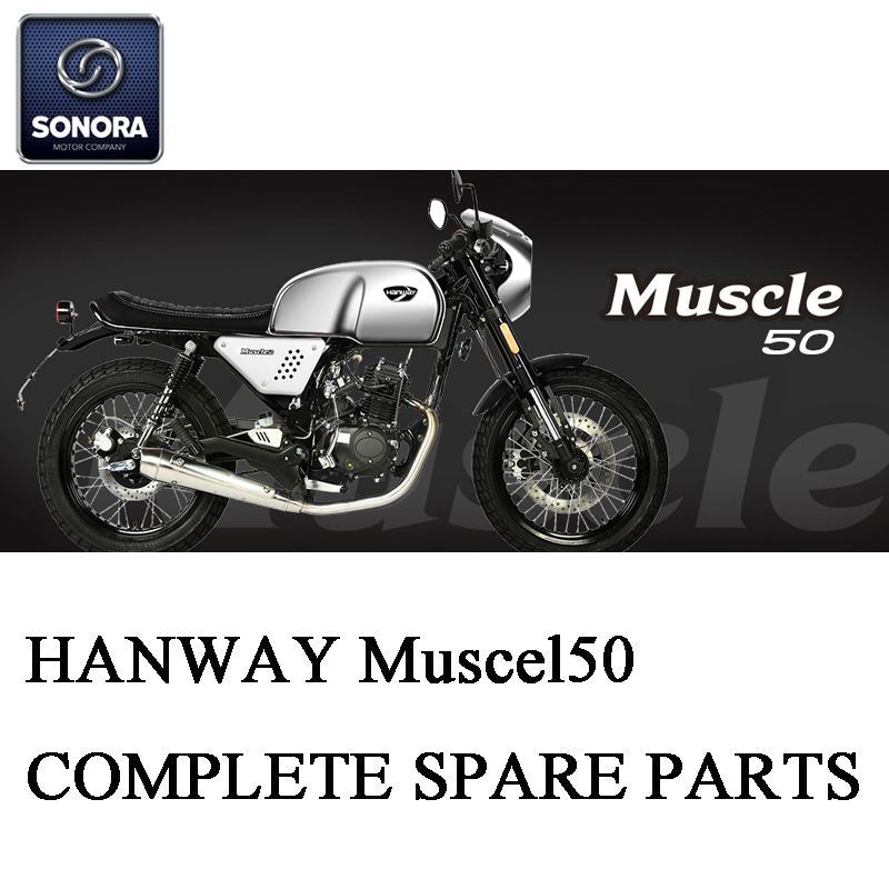 Hanway MUSCLE50 Part