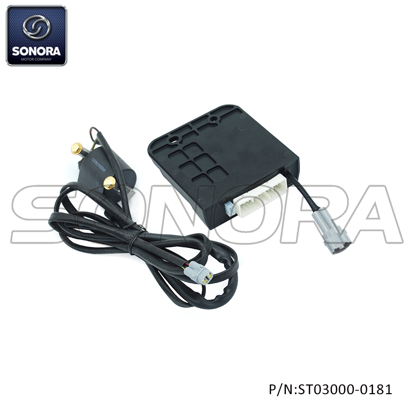 Tuning ECU for Piaggio ZIP Vespa sprint E4 50CC higher performance ECU with Ignition coil black（P/N:ST03000-0181）top quality