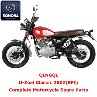 Qingqi U-Zeal Classic 250ZEFI Complete Motorcycle Spare Part