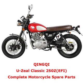 QINGQI Classic 250Z EFI Complete Motorcycle Spare Parts