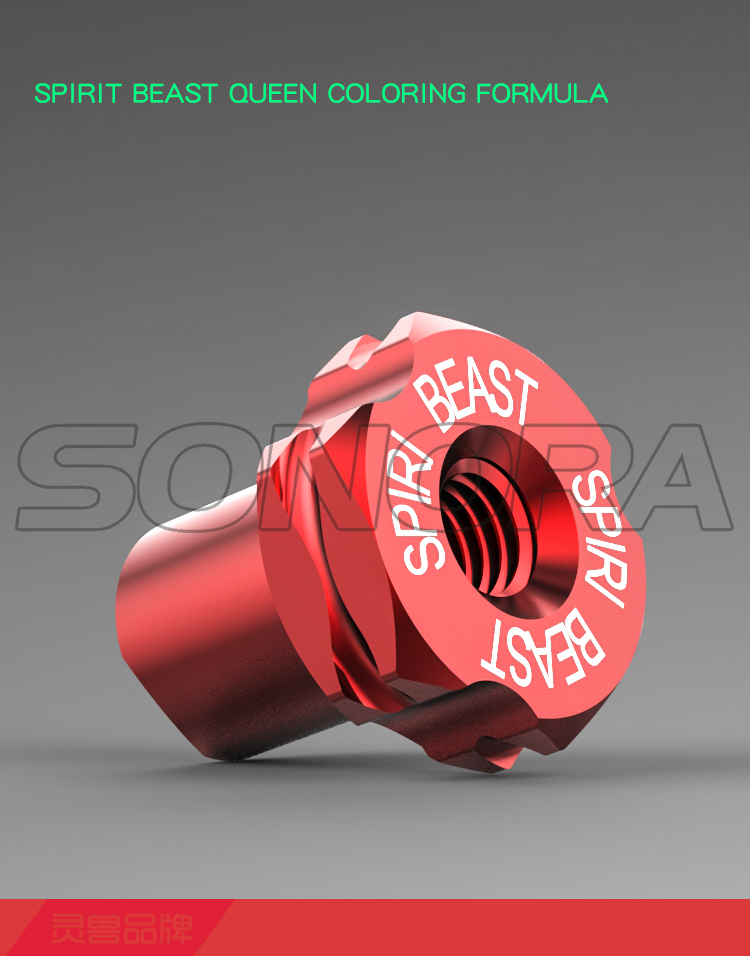 SPIRIT BEAST drum brake adjustment screw (5)