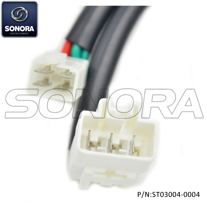 ST03004-0004 (4)