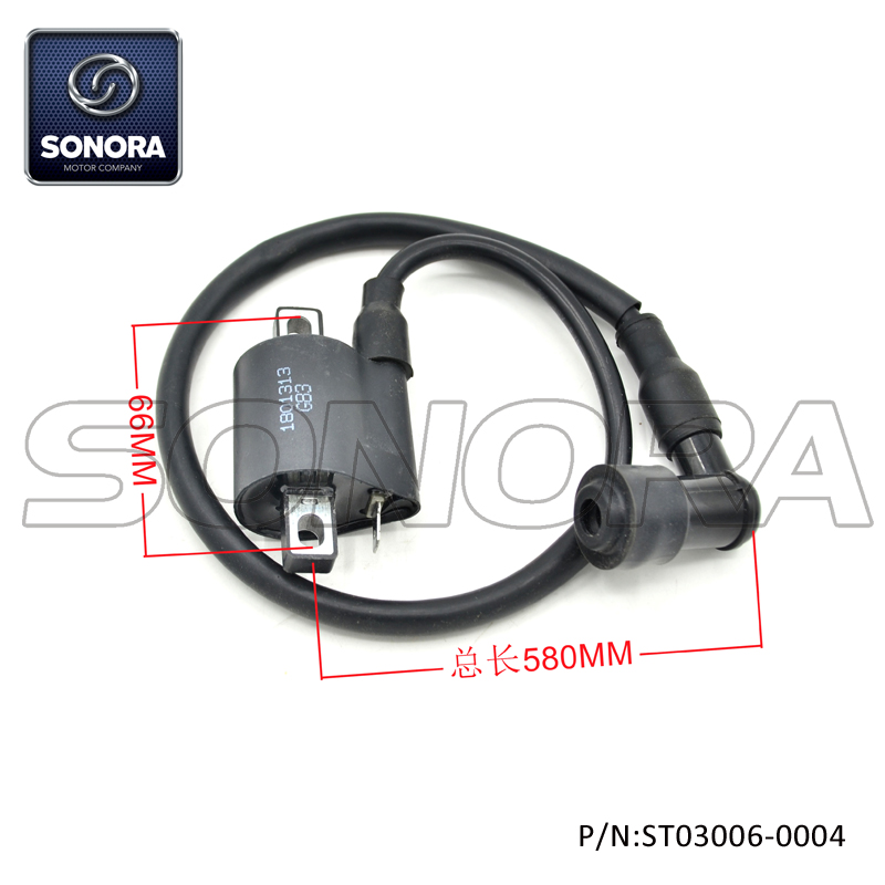 ST03006-0004 (2)