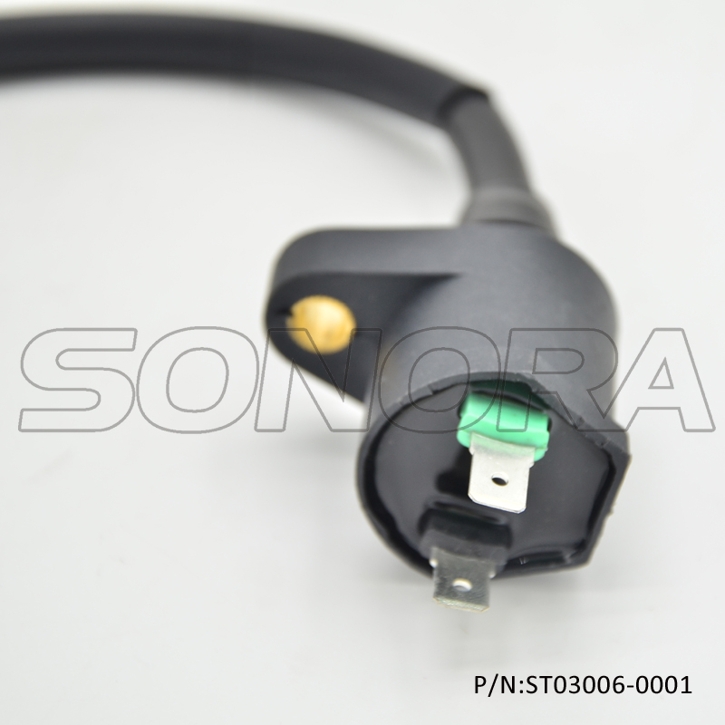 GY6-50 125 139QMAB 152QMI Engine Iron Head Ignition Coil (P/N:ST03006-0001) Top Quality