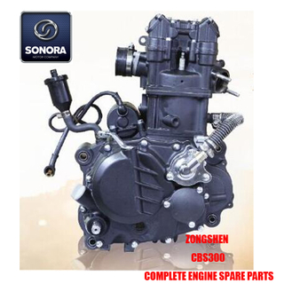 Zongshen CBS300 Complete Engine Spare Parts Original Parts